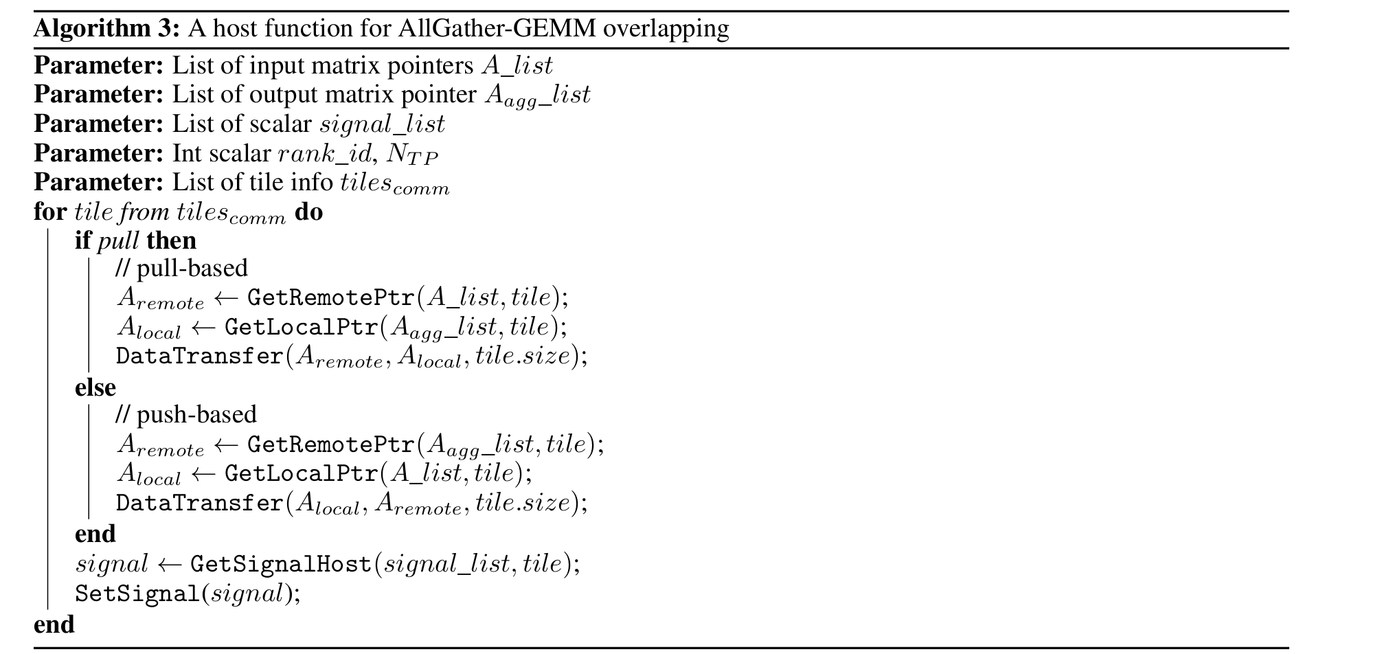 host_allgather_gemm